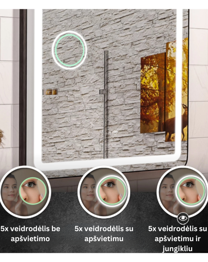 Alasta Monaco veidrodis su LED apšvietimu | Keturkampiai veidrodžiai