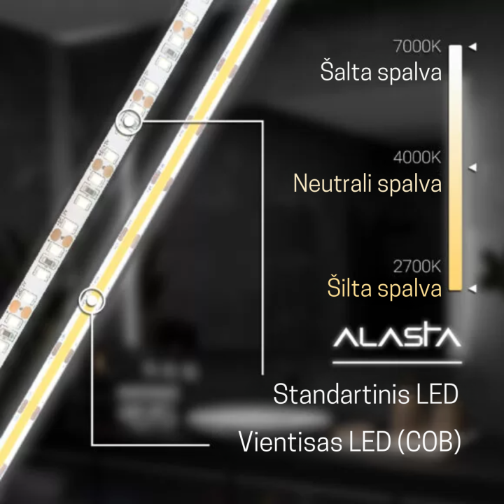 Alasta Kapris arkinis veidrodis su LED apšvietimu, įvairių dydžių, Ovalūs veidrodžiai, veidrodžiai Be rėmelio